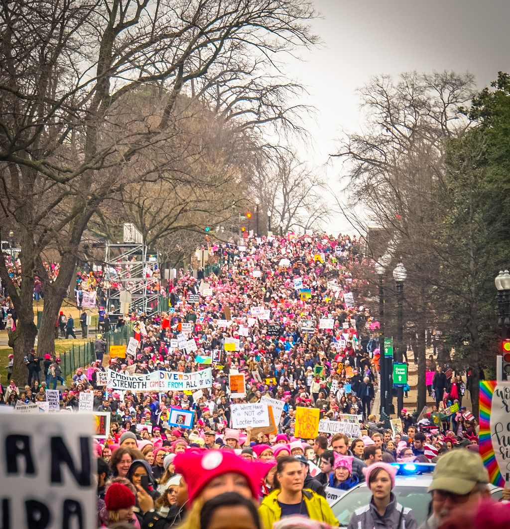 Women's_March_Washington,_DC_USA_33